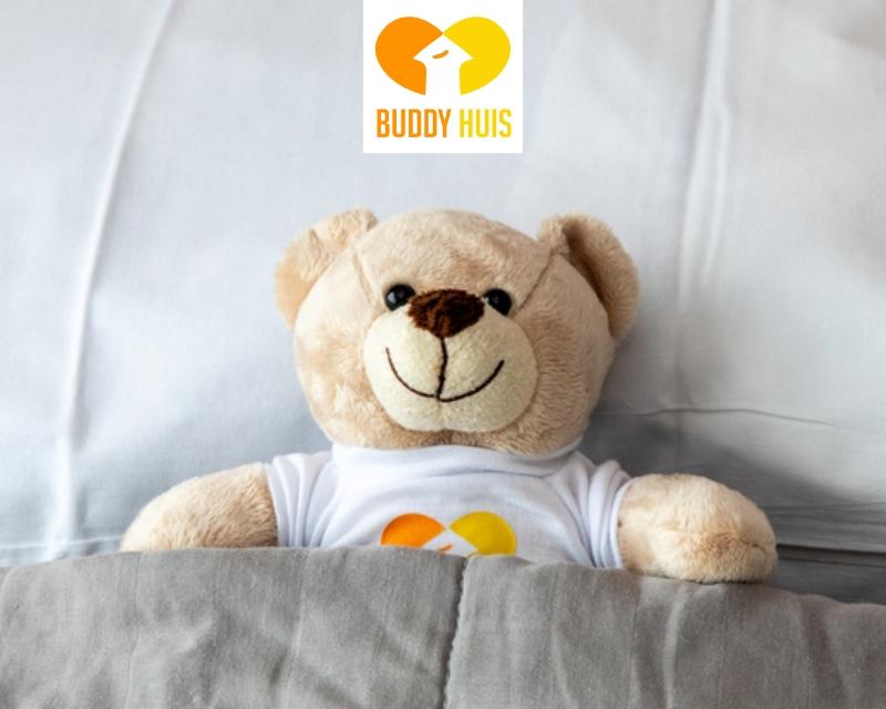 buddyberen-actie buddyberen-actie